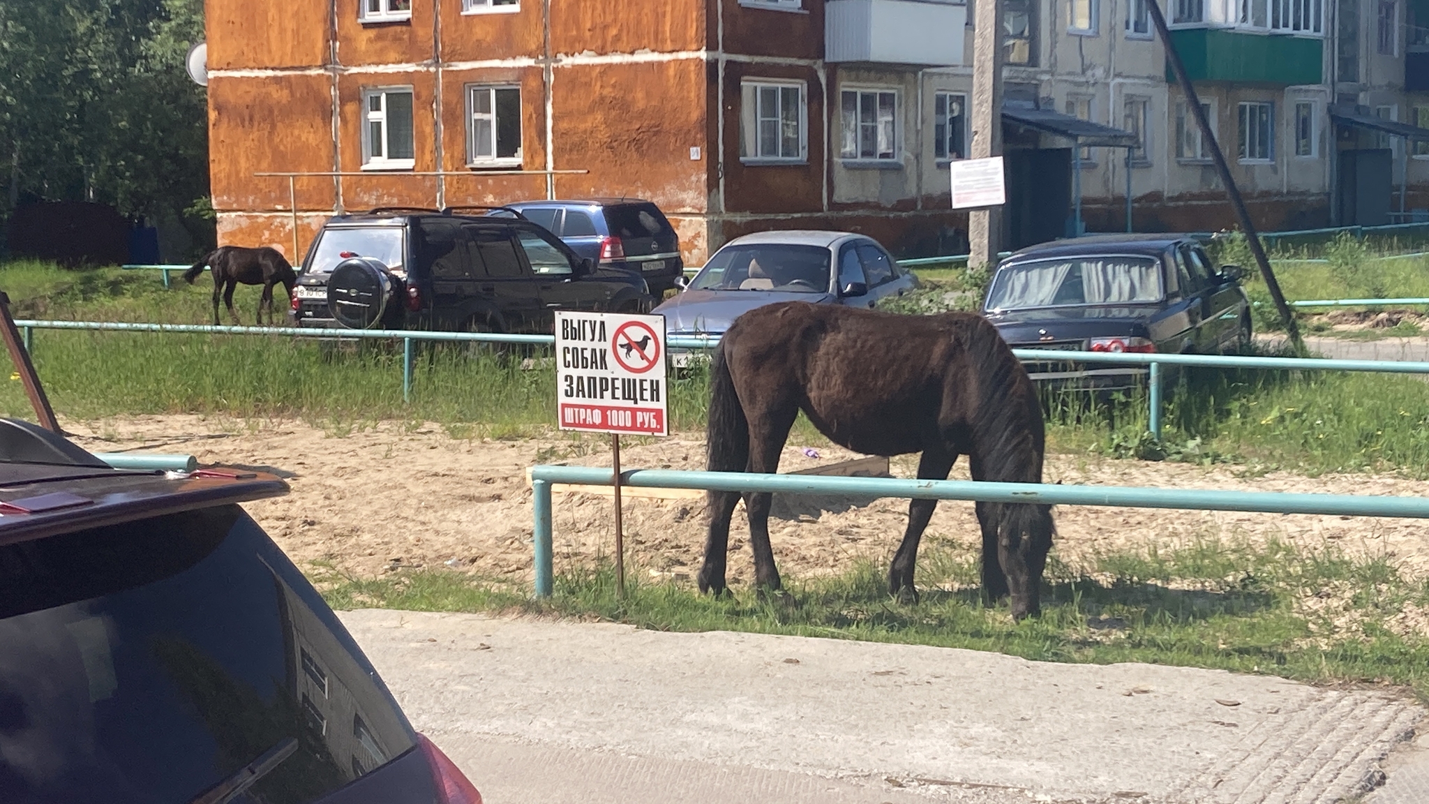 Эстетика проживания с края города | Пикабу