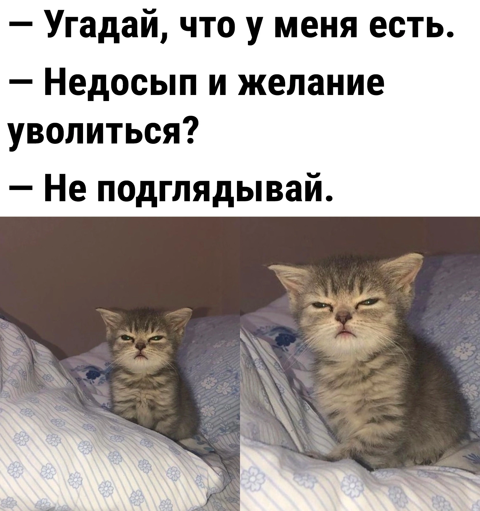 Не подглядывай картинка