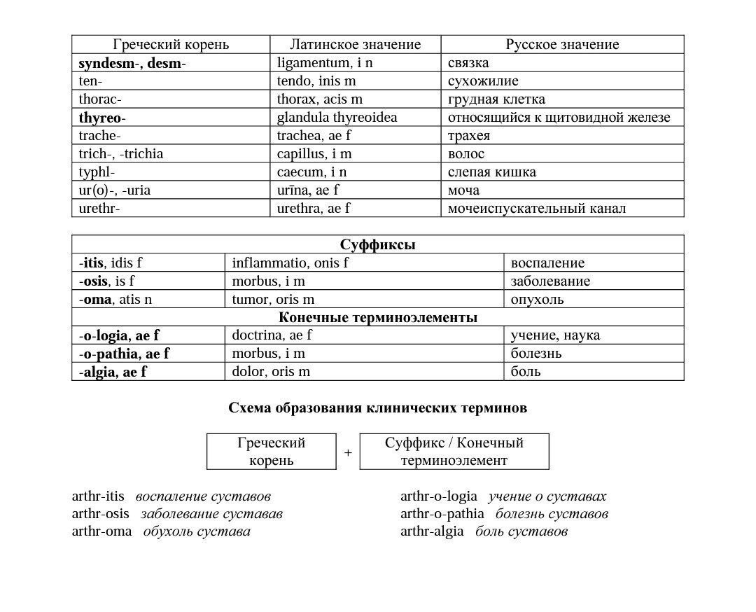 Медицина и языки | Пикабу