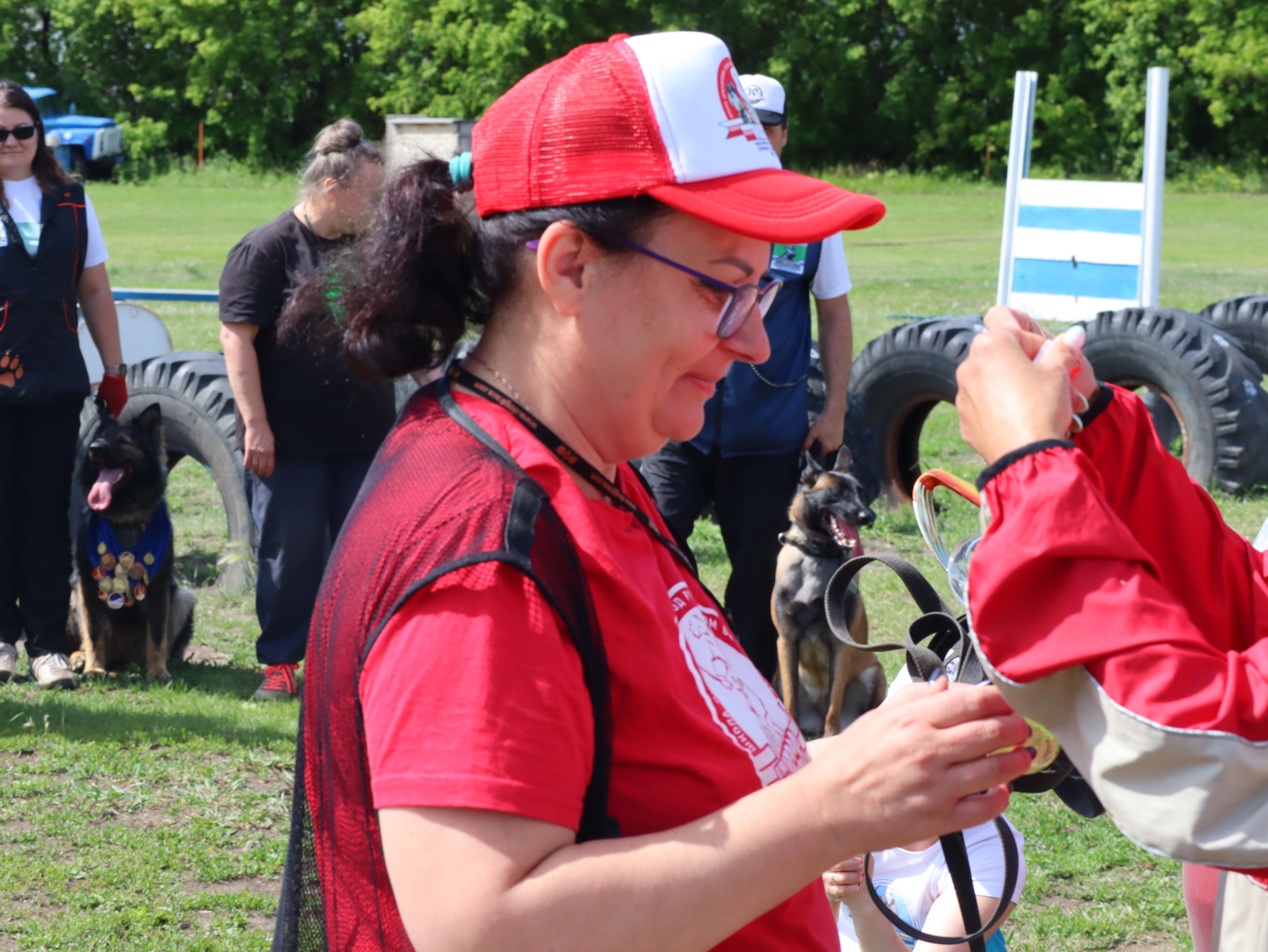 Дрессировка собак в Омске - ОЦССС! | Пикабу