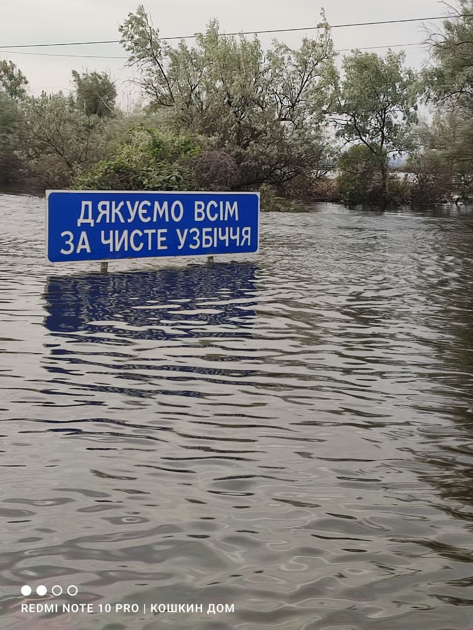 Помогаю, пока помогается | Пикабу