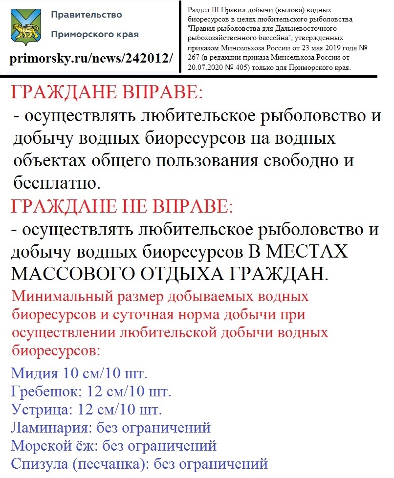 Штраф за купание на пляже: как не платить, сэкономить и избежать  составления протокола об административном правонарушении | Пикабу