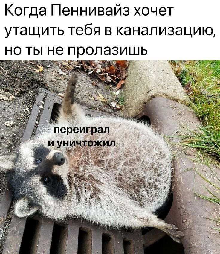 Мемы | Пикабу