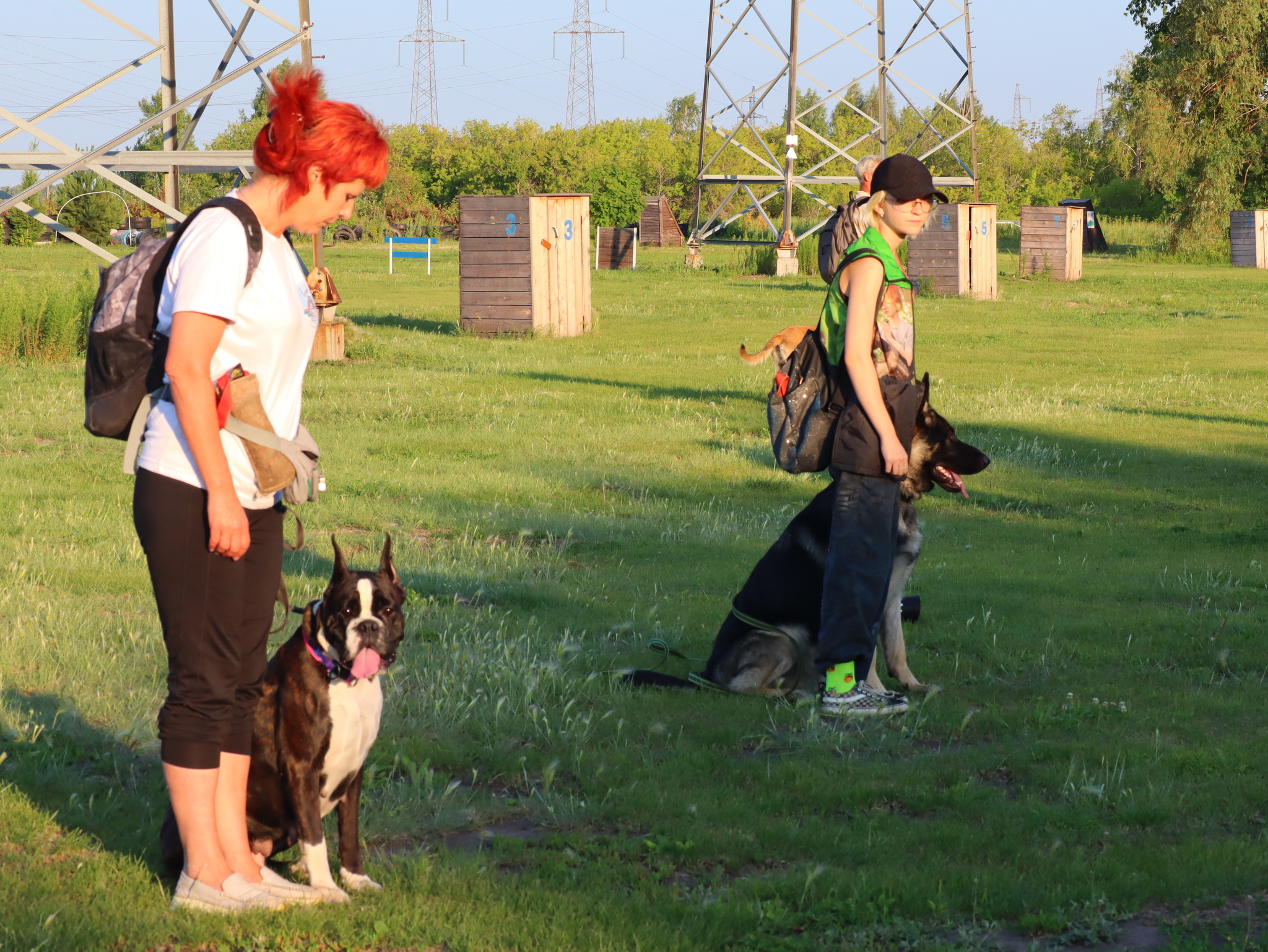 Дрессировка собак в Омске - ОЦССС! | Пикабу