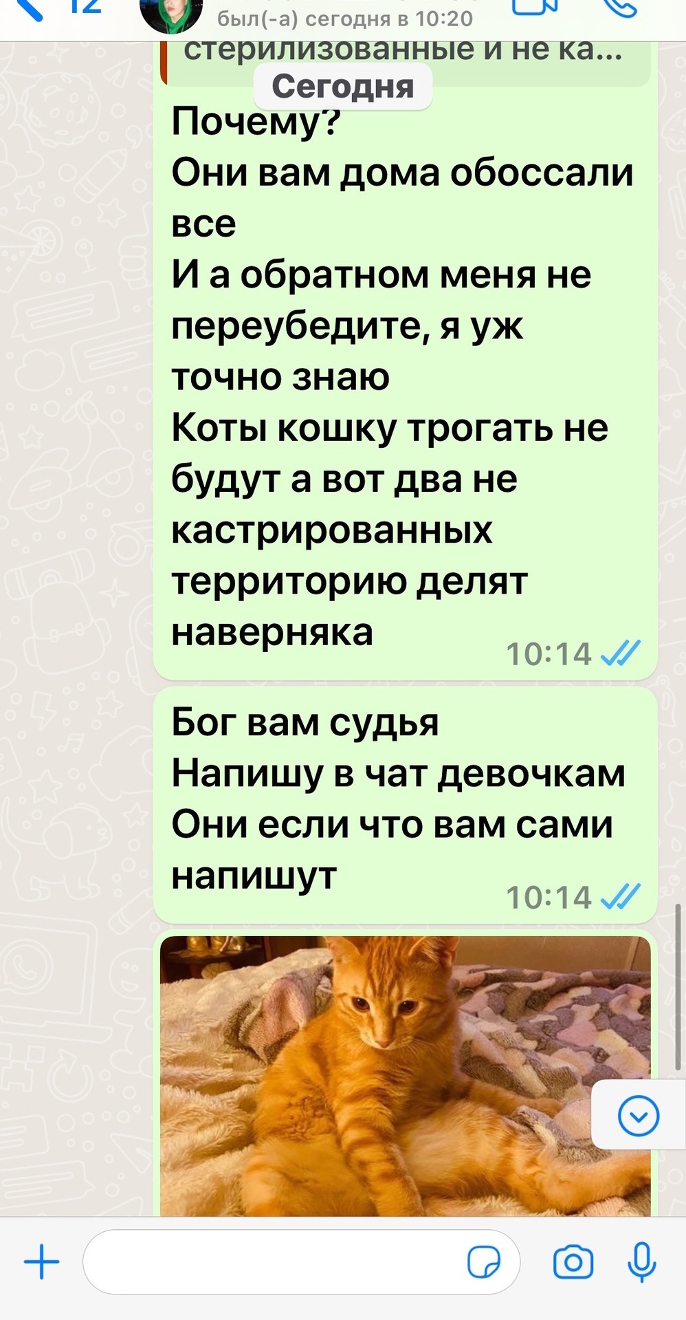 нужна хозяйка по дому (96) фото