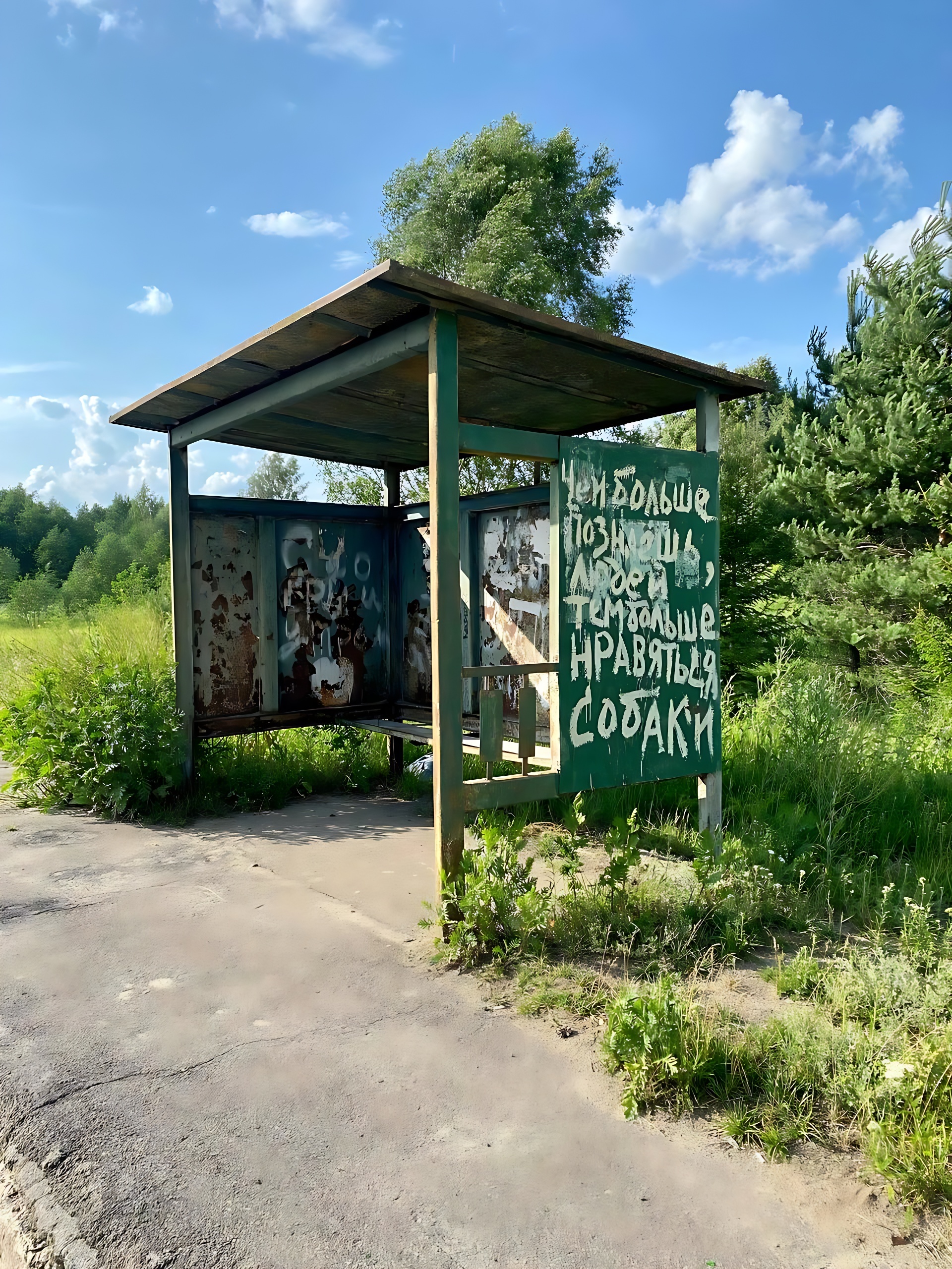 Подборка надписей – 229 | Пикабу