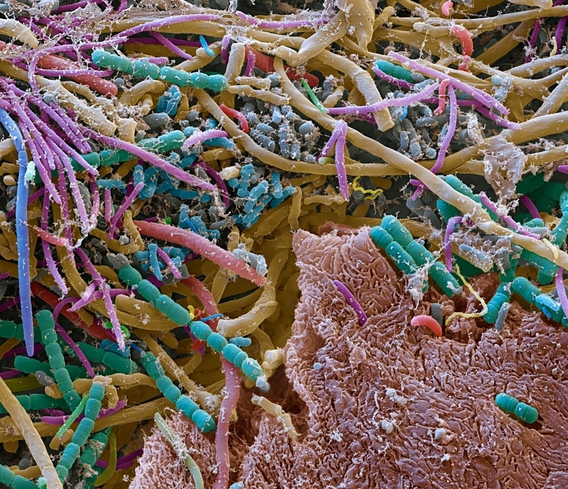 �������������� ������ ����� ��� ����������� - 12.07.23 09:40 | ������