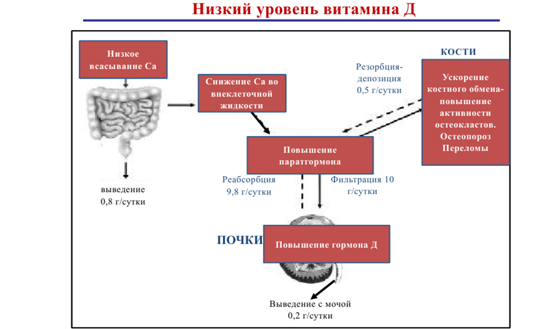 Ответ на пост «Мочекаменная болезнь» | Пикабу