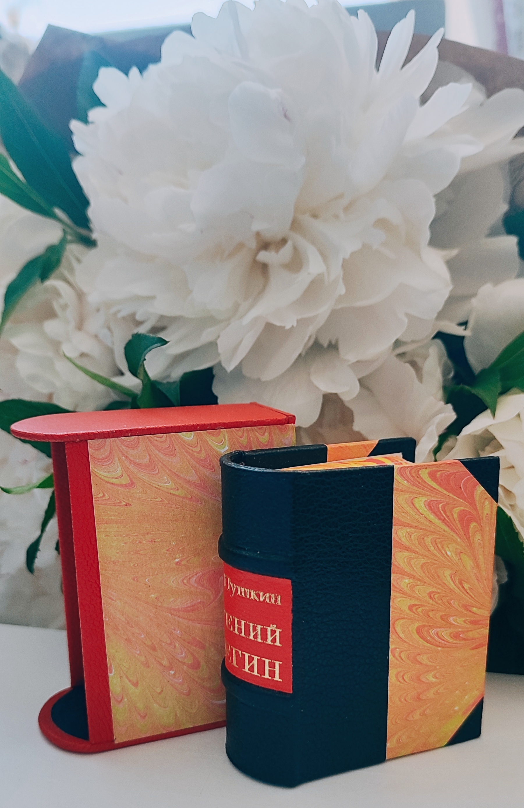 Миниатюрная книга "Евгений Онегин" | Пикабу