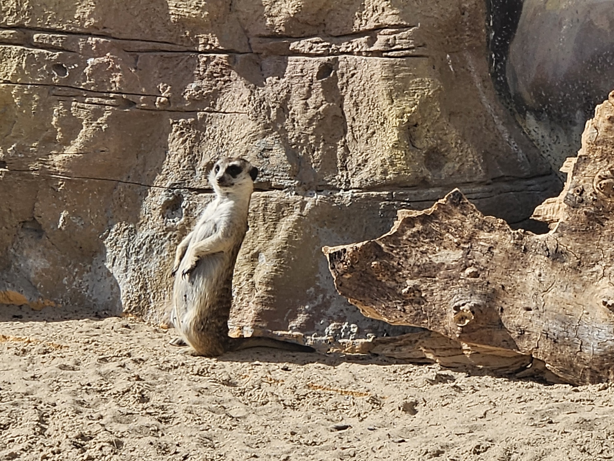 Казанский зоопарк 