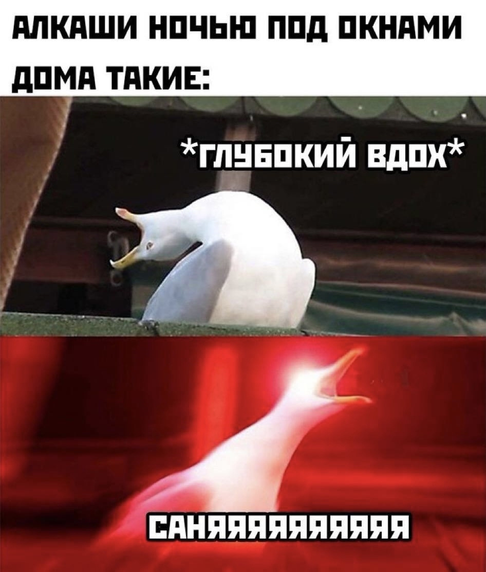 В ночи | Пикабу