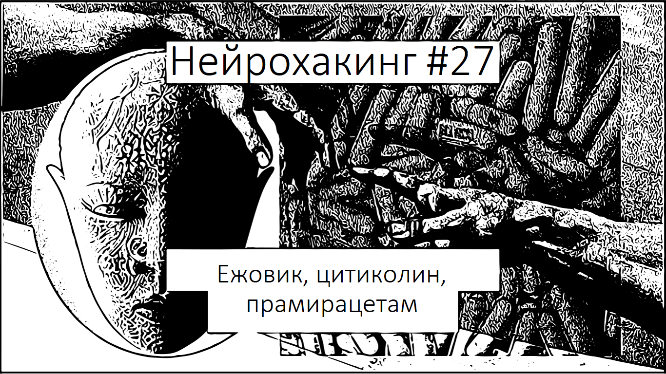 Нейрохакинг #27. Ежовик, цитиколин, прамирацетам | Пикабу