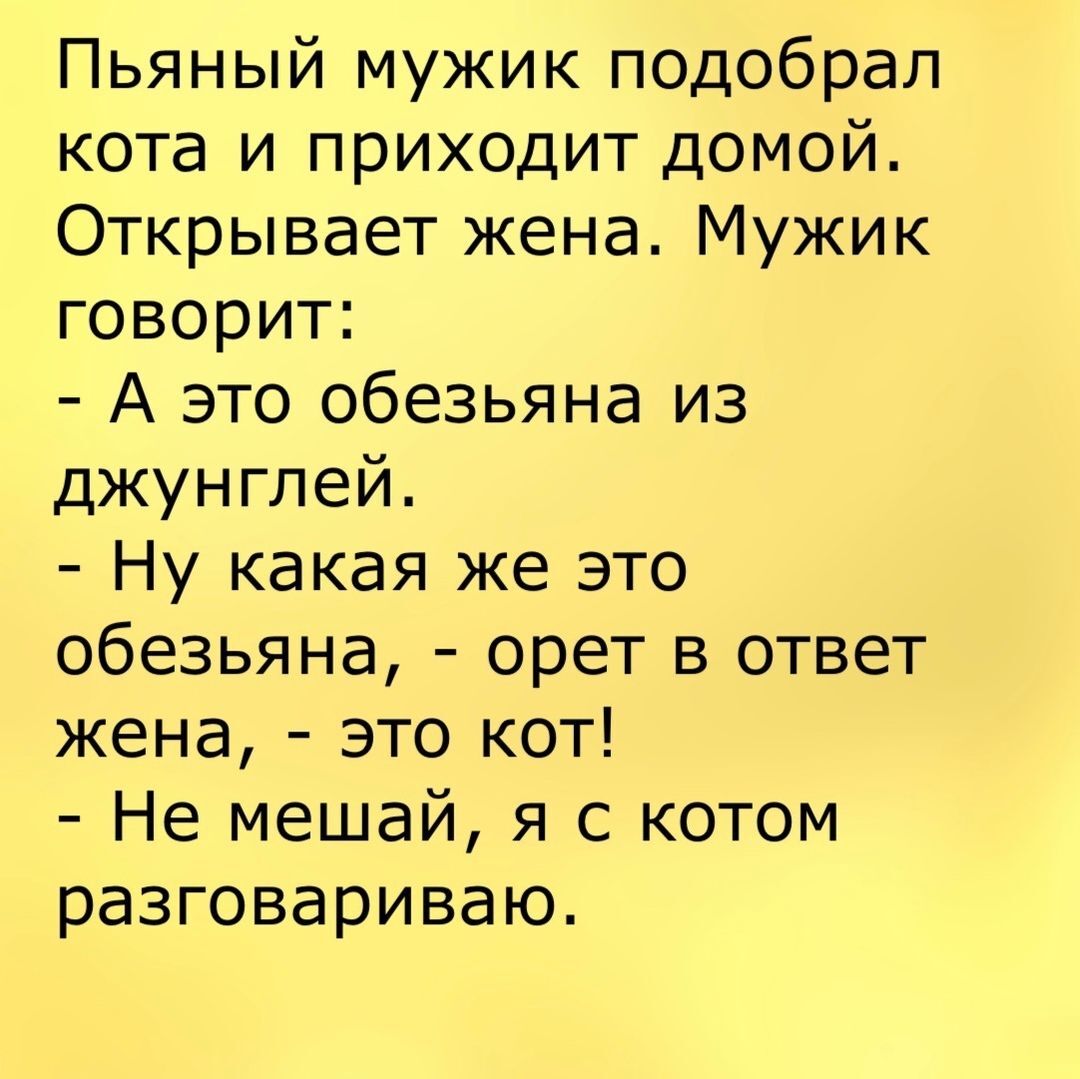 Анекдот | Пикабу