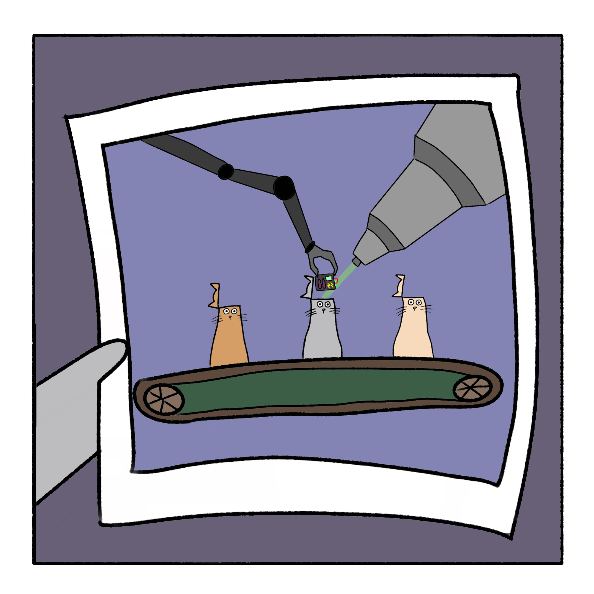 Откуда берутся коты? | Пикабу