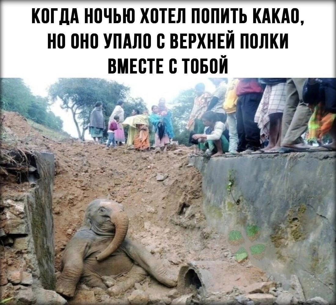 Какао | Пикабу