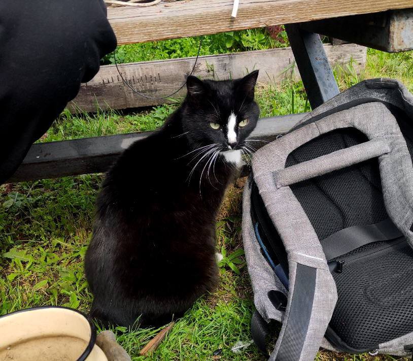 Спутниковый интернет на даче: как установить и сколько стоит? | Пикабу