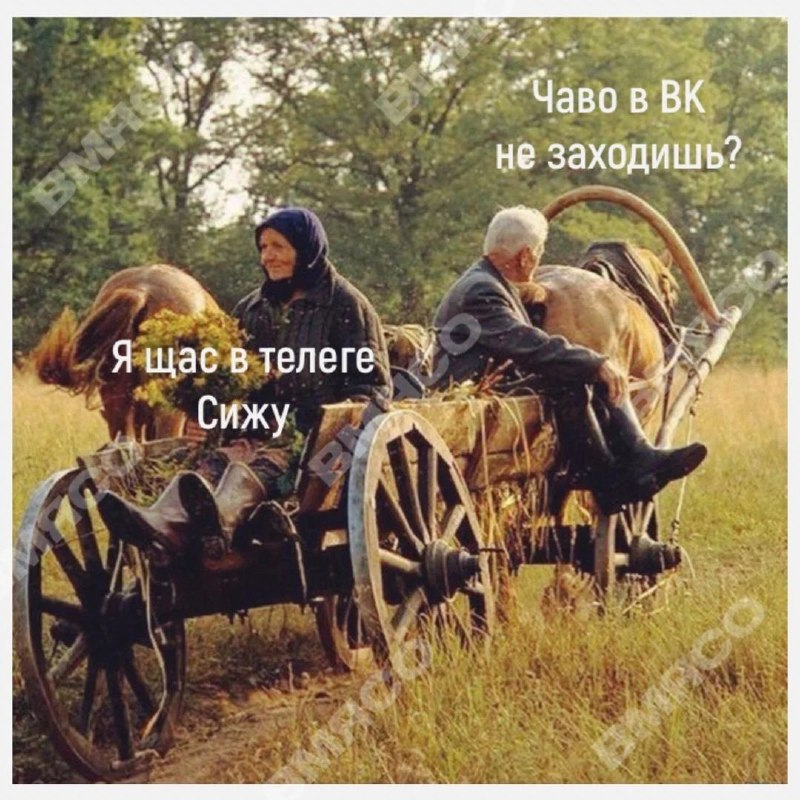 Телега | Пикабу