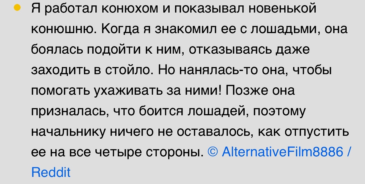 Когда новый сотрудник вышел на работу, но что-то не заладилось | Пикабу