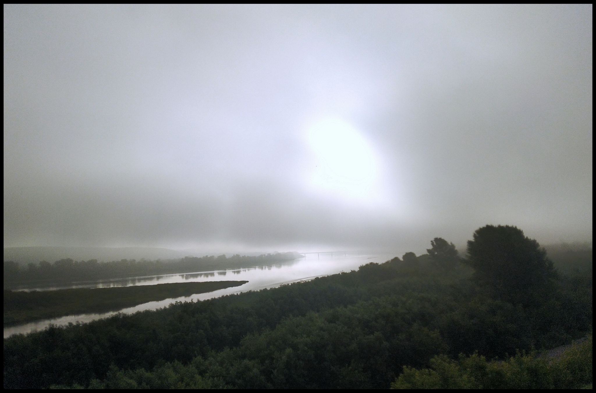 Сегодня туманно | Пикабу