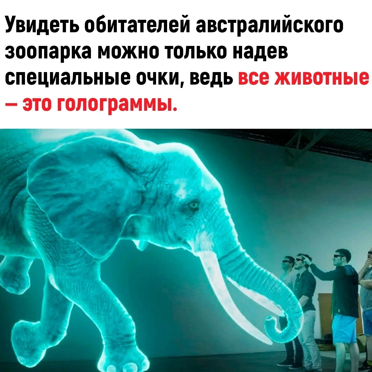 21 век | Пикабу