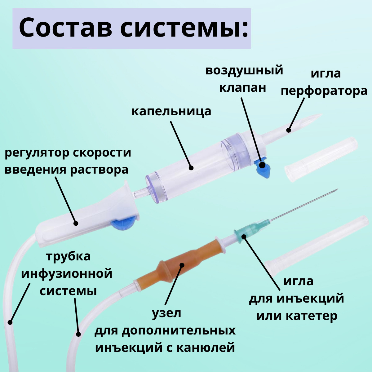 Что будет если воздух попадет в вену - зоомагазин-какаду.рф