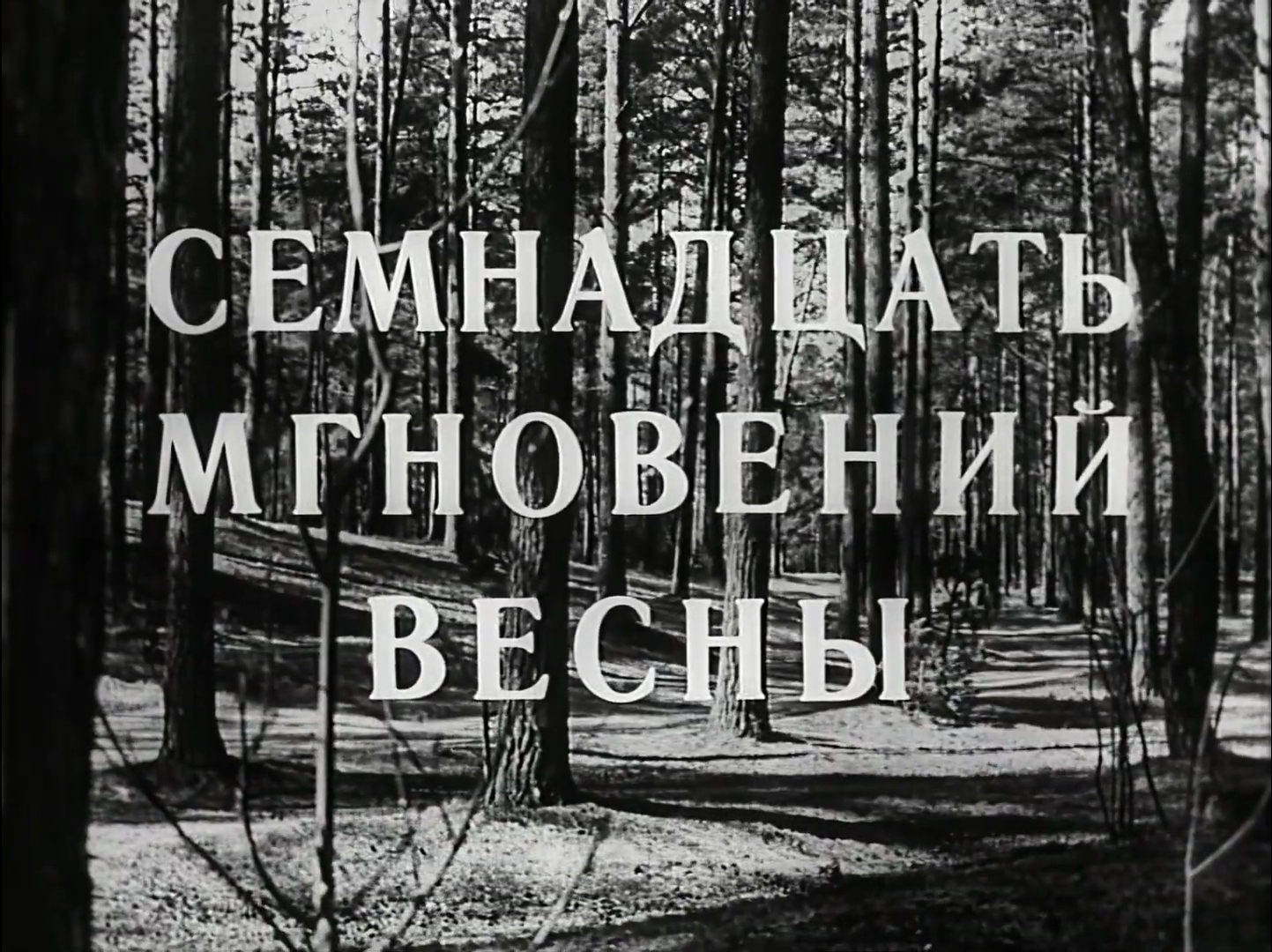 50 лет назад, 11 августа 1973 года, состоялась премьера легендарного  12-серийного художественного телефильма 