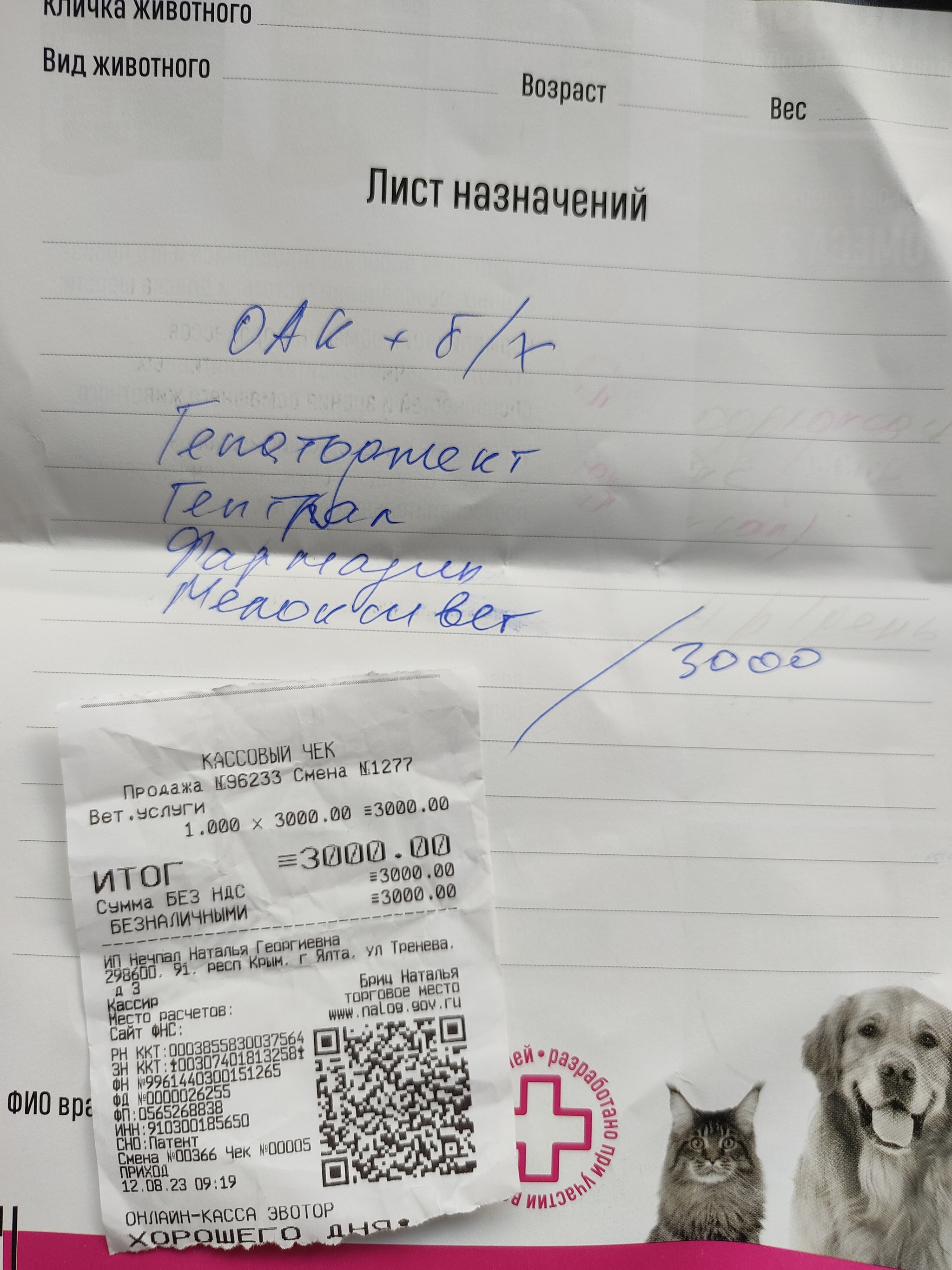 Персик приболел. Лечу | Пикабу