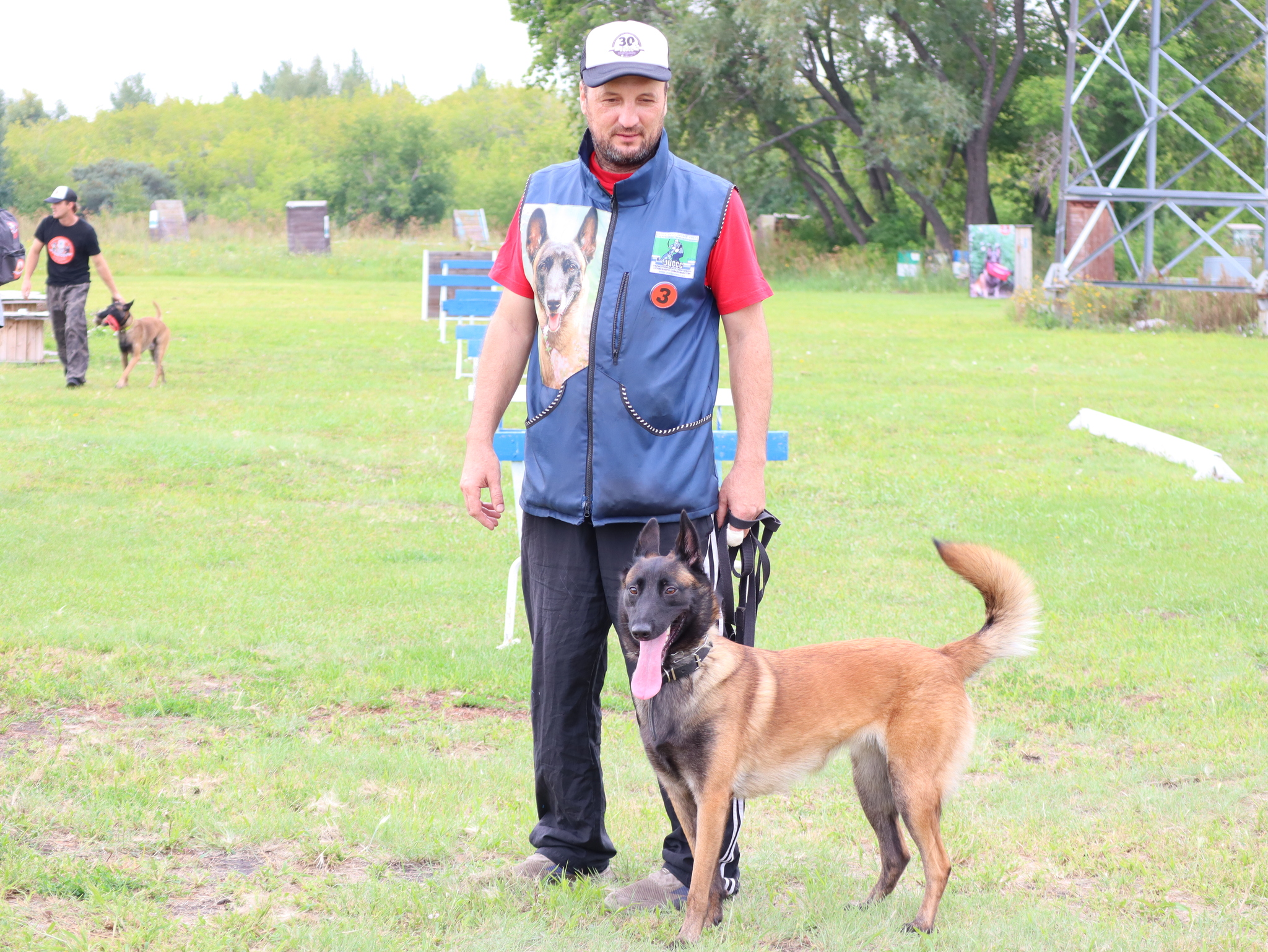 Дрессировка собак в Омске - ОЦССС | Пикабу