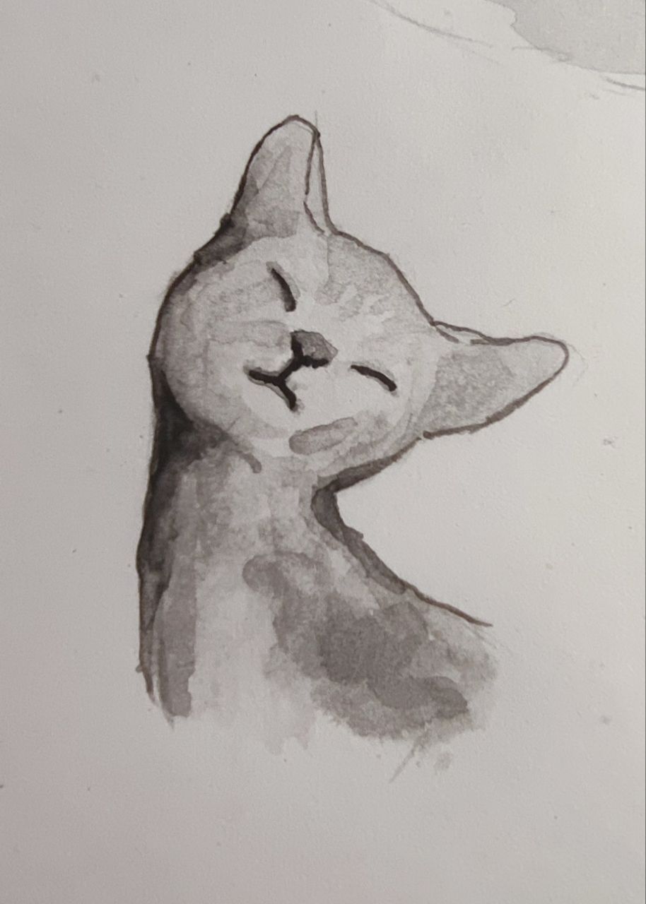Котецкий | Пикабу