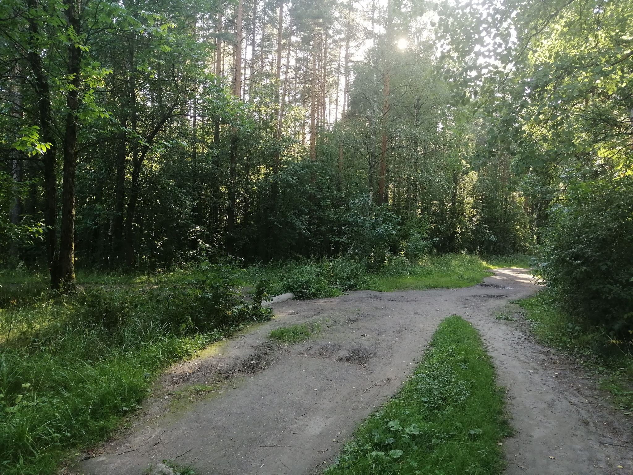 Ржевский лесопарк санкт петербург территория