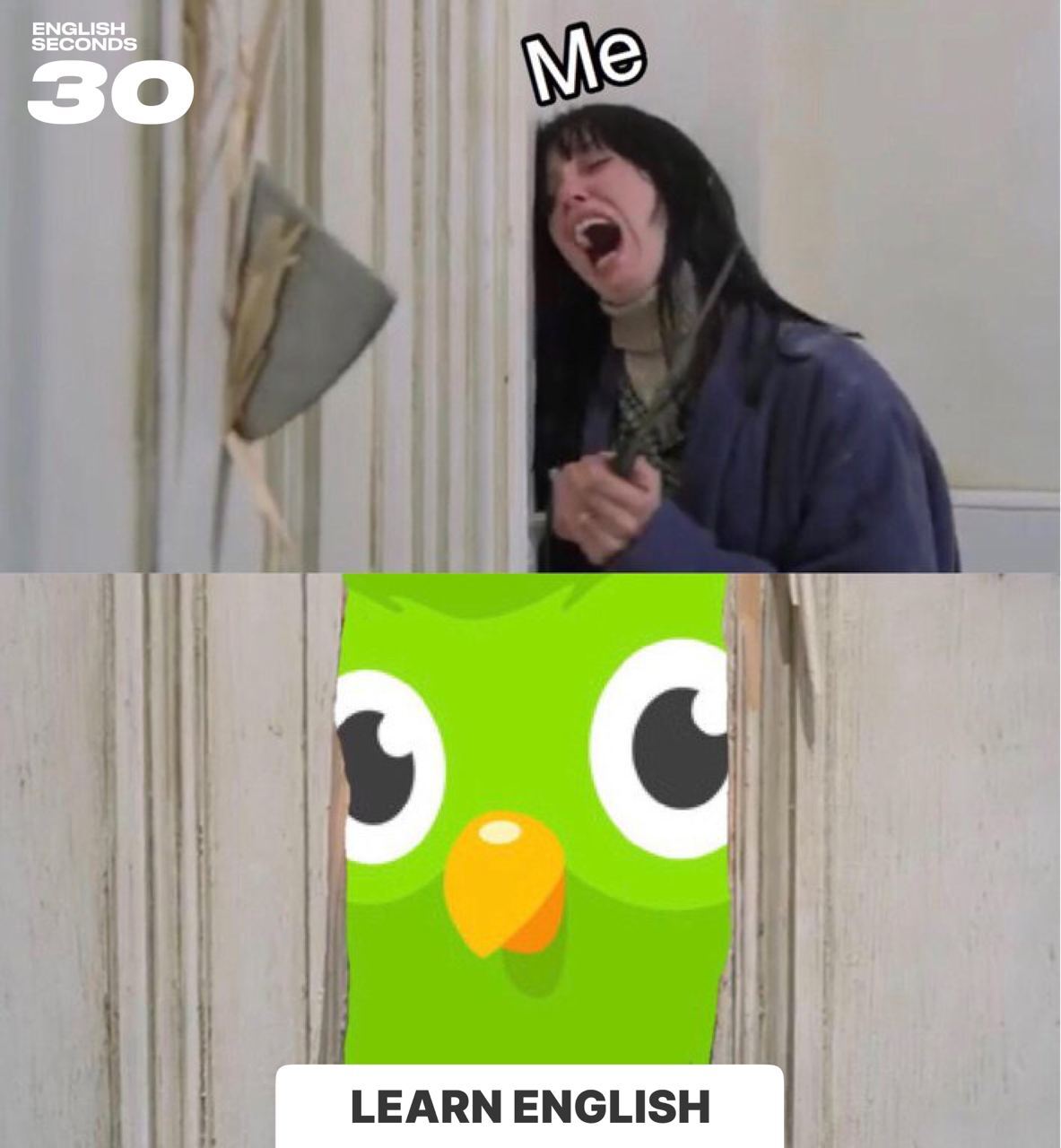 Коротко о Duolingo | Пикабу