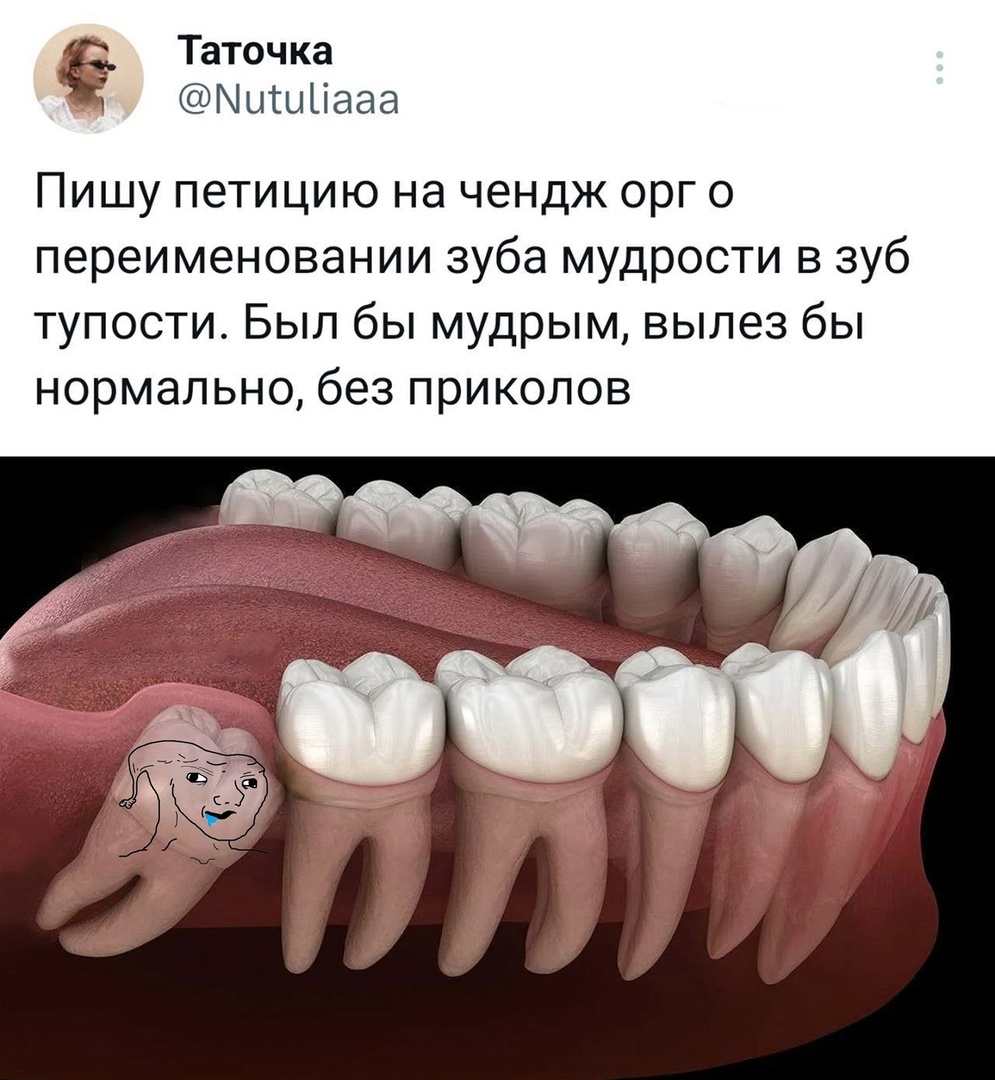 Ну так то да | Пикабу