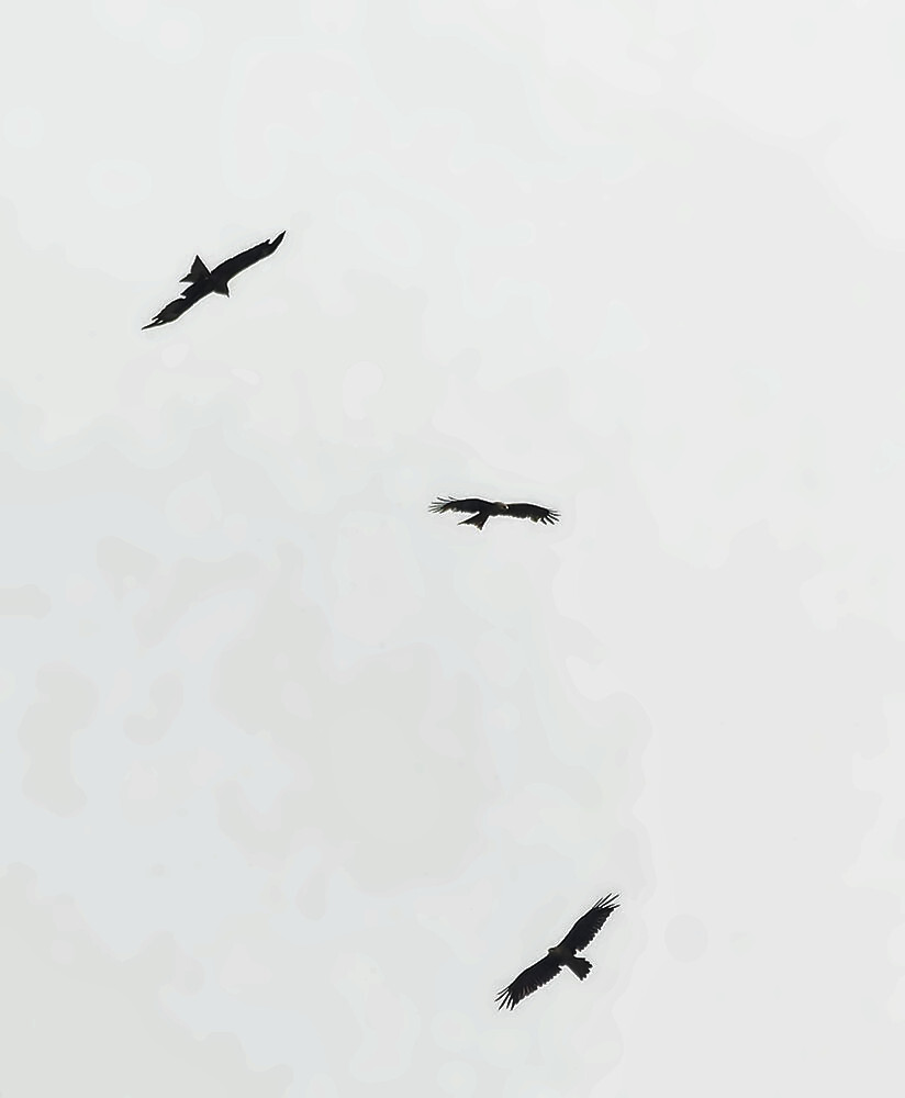 Неожиданный четверг | Пикабу