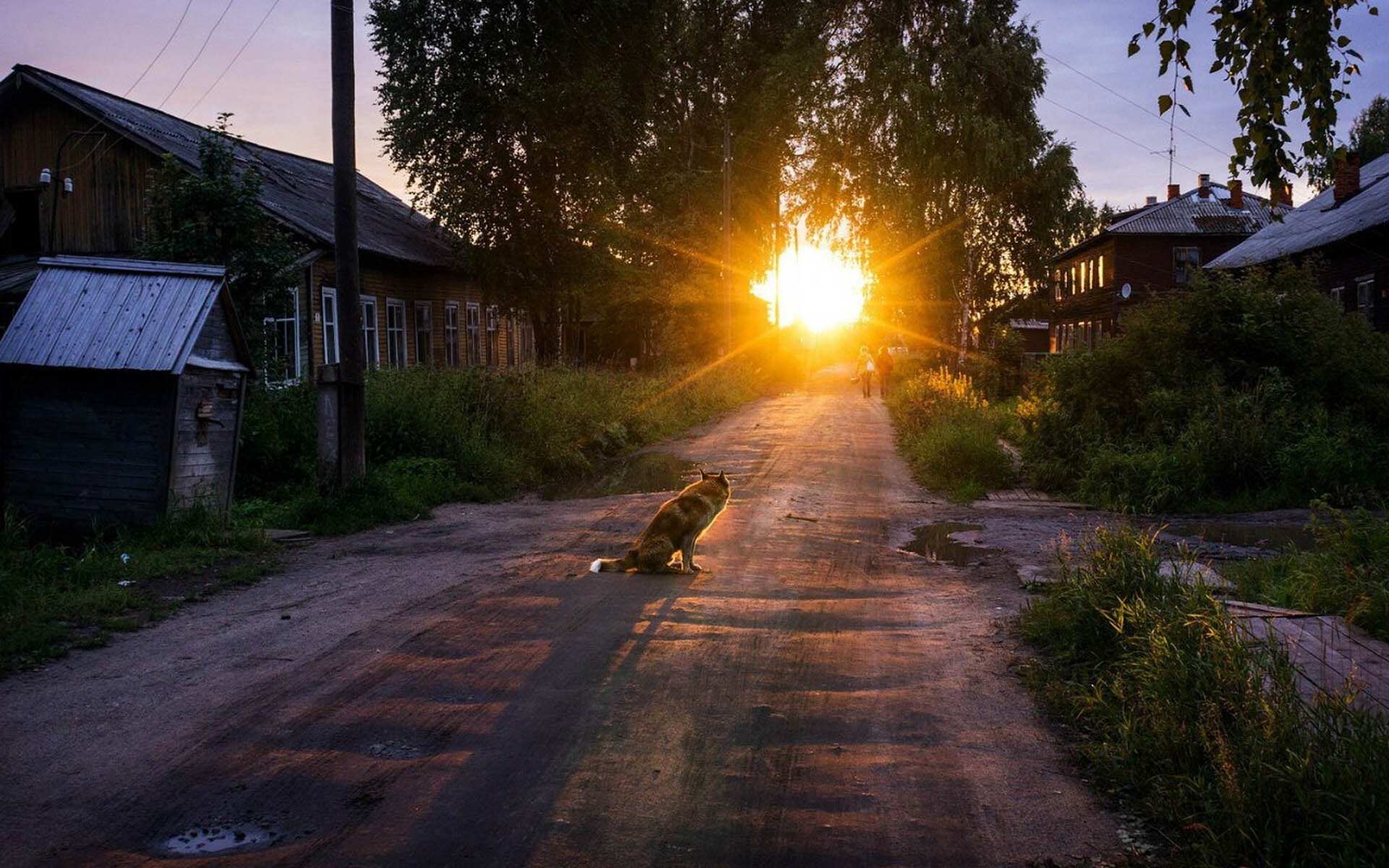 В деревне | Пикабу