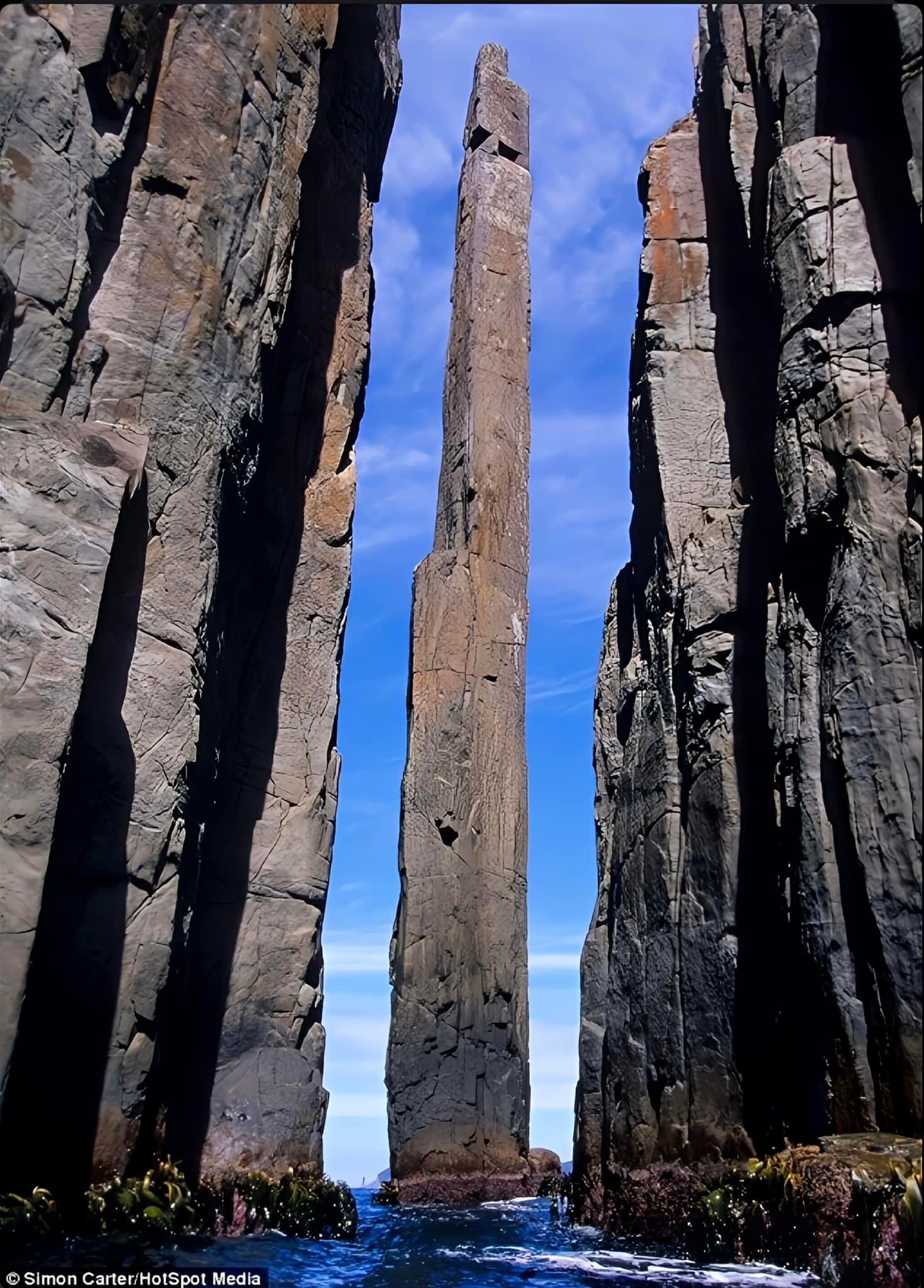 Тотемный столб | Пикабу