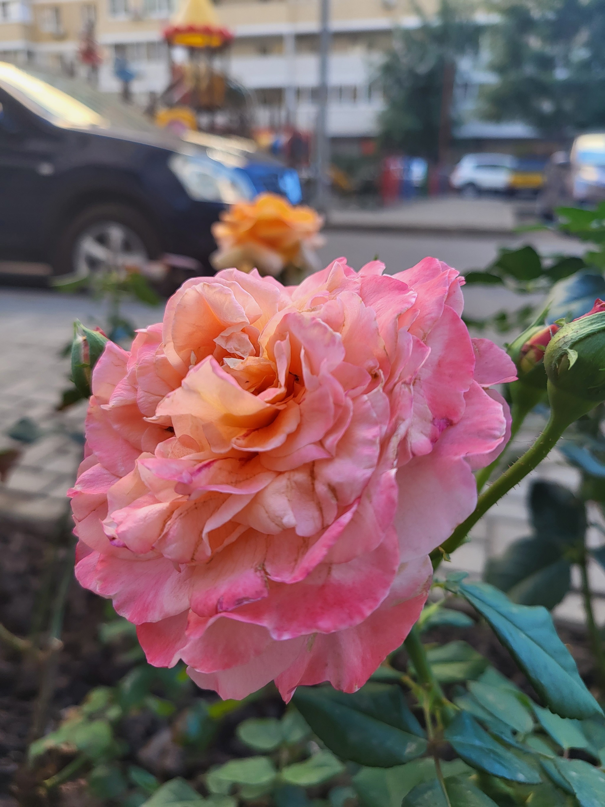 Осенний день | Пикабу