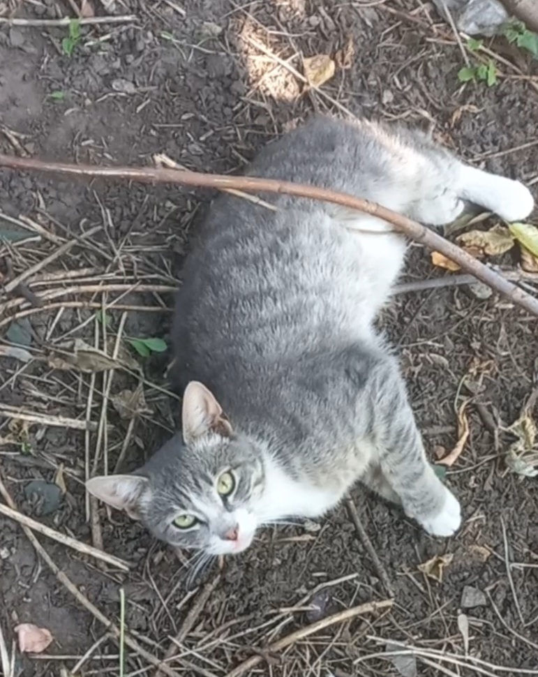 В поисках дома.Москва | Пикабу