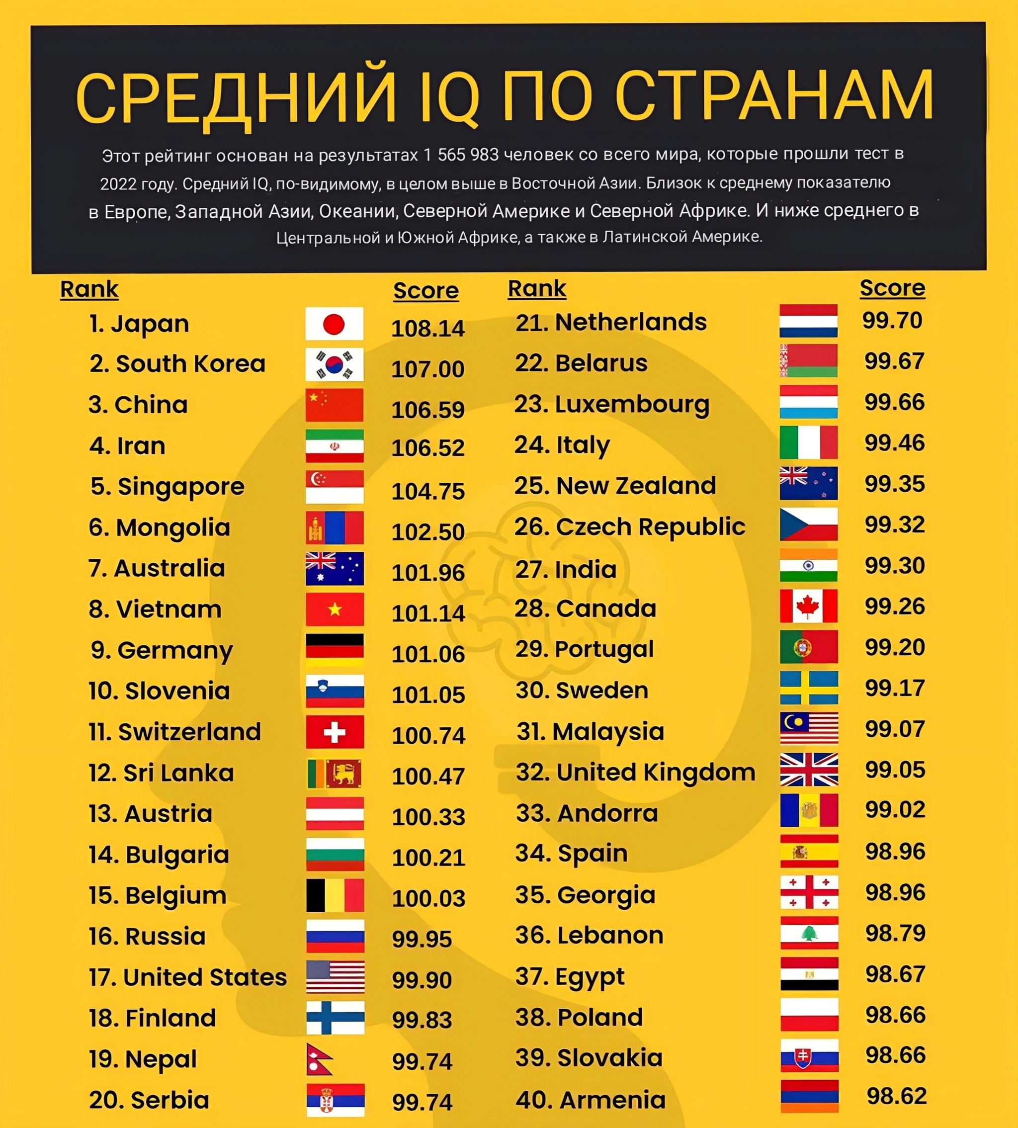 Новое исследование: у водителей этих марок автомобилей самый низкий IQ