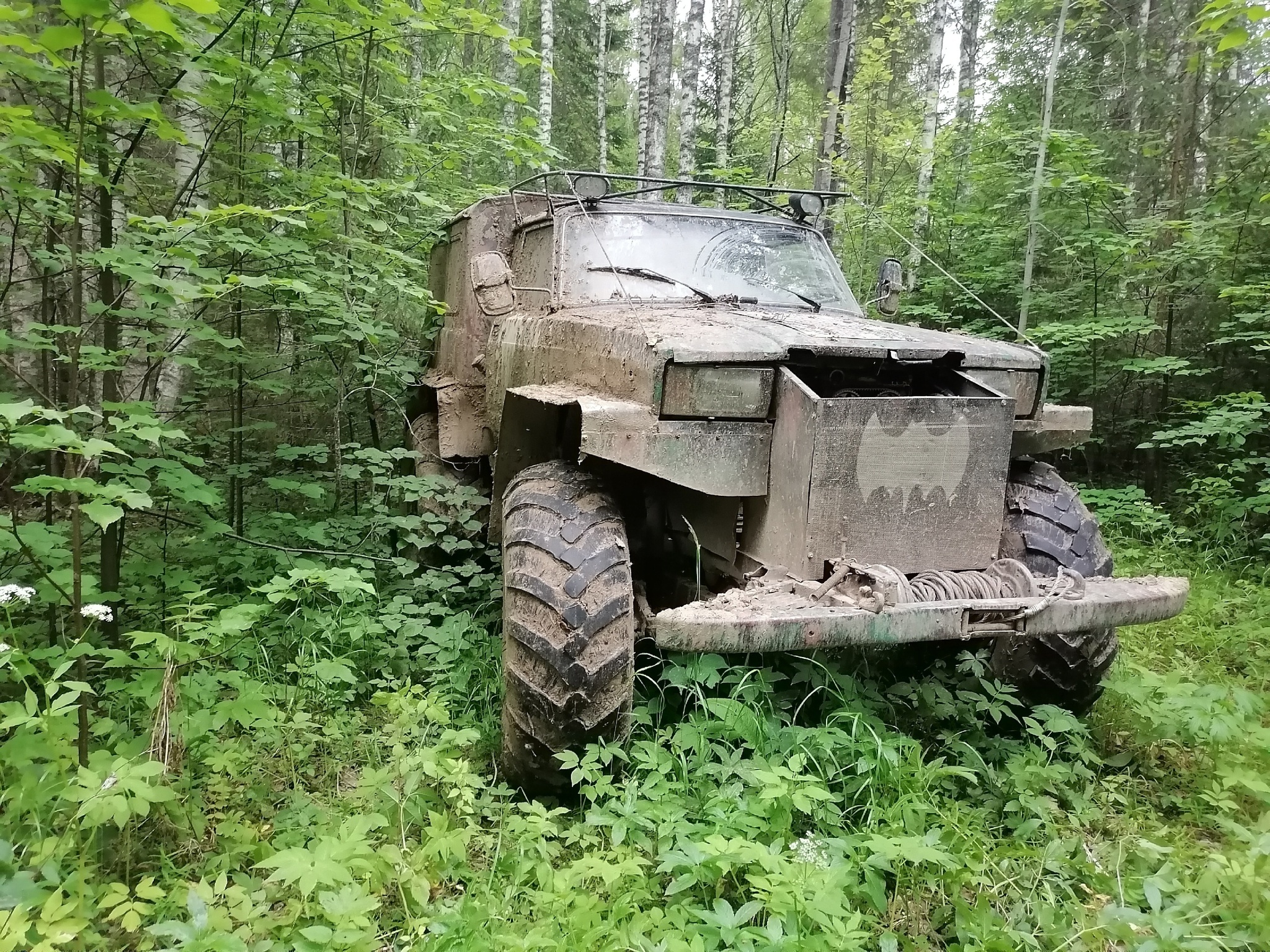 Чудо монстр из Нижегородских лесов | Пикабу