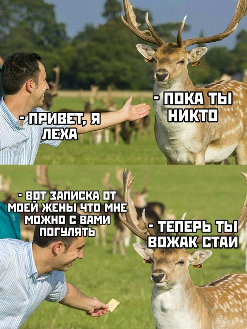 Логично | Пикабу