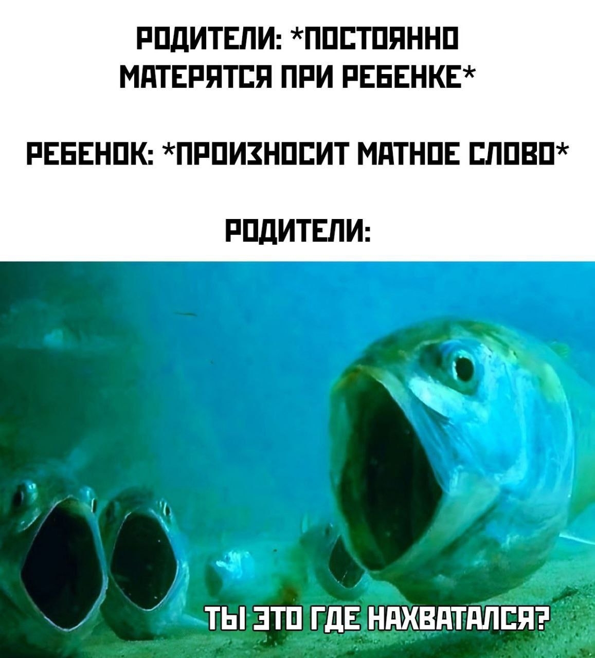 Мат | Пикабу