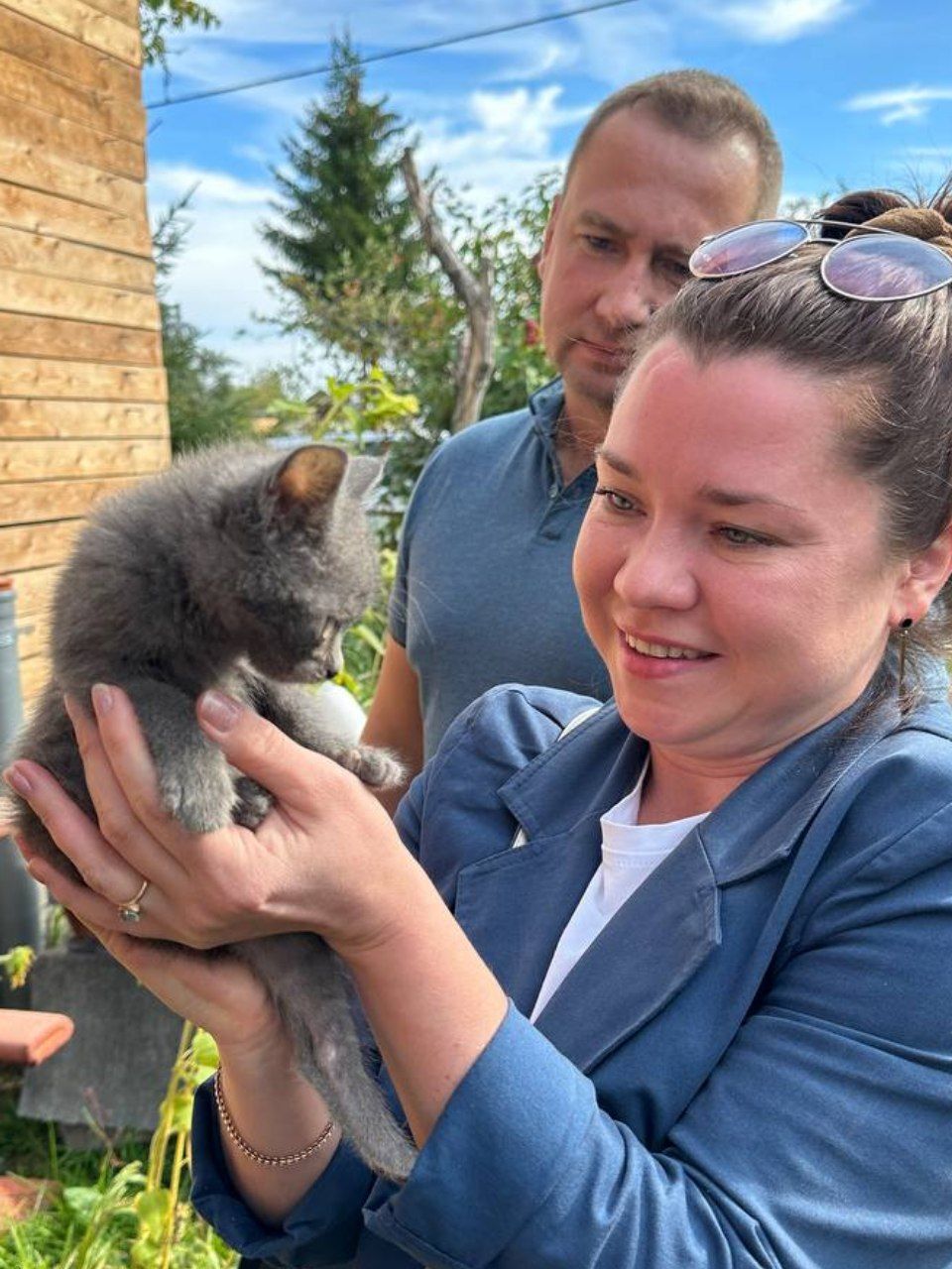 В новый дом поехал котенок, которого кто-то в плохом состоянии оставил на  дороге в Колпино | Пикабу