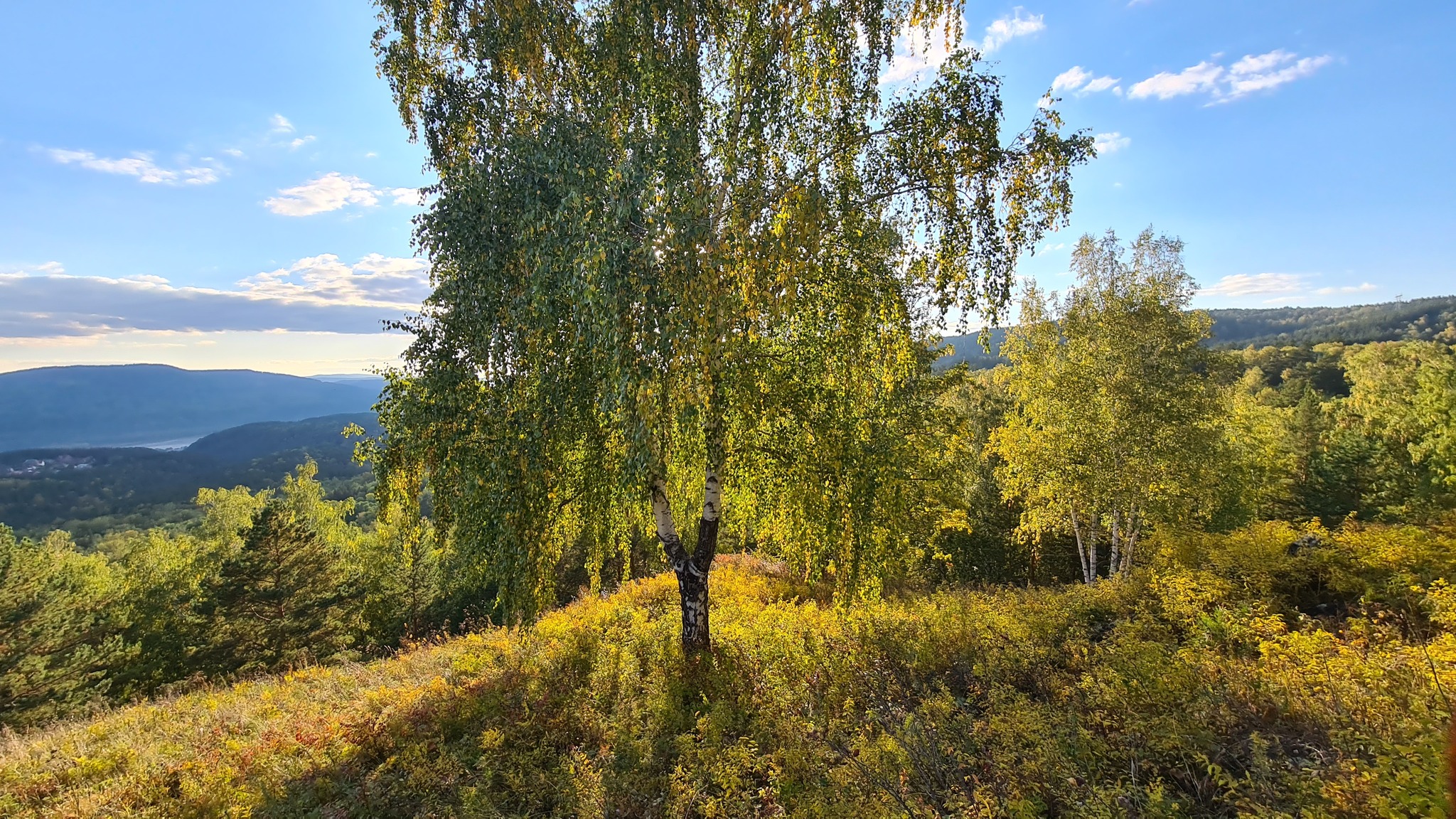 Солнечный день осени в 