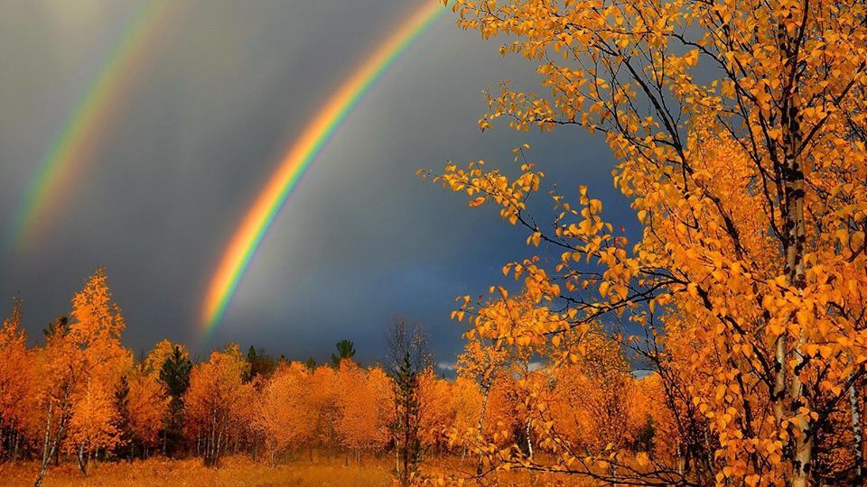 Осенняя природа: магия ярких красок | Пикабу