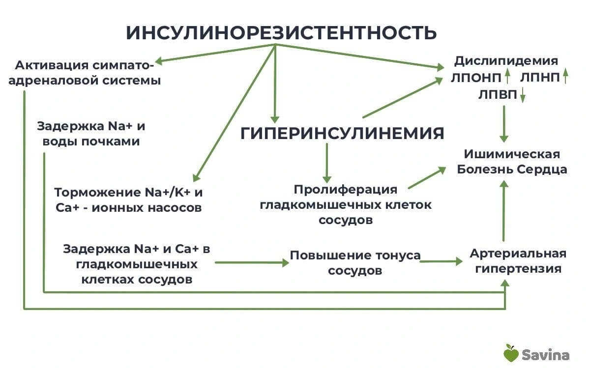 Симптомы и признаки инсулинорезистентности у женщин и мужчин — касается  каждого с лишним весом более 5 кг | Пикабу