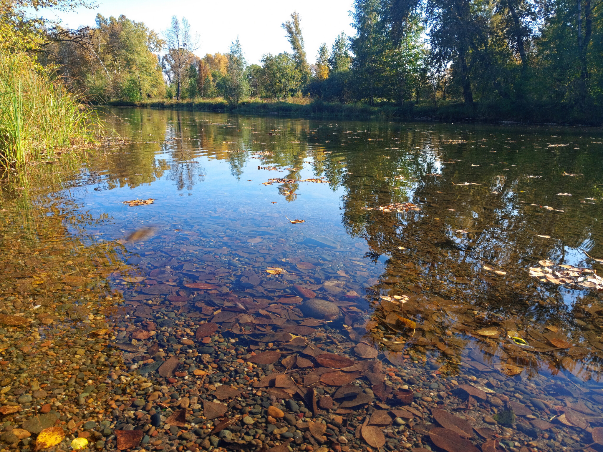 Отражение природы и камни под водой в ПКИО Абакана. Осень в Хакасии 2023.  Красочная сибирь | Пикабу