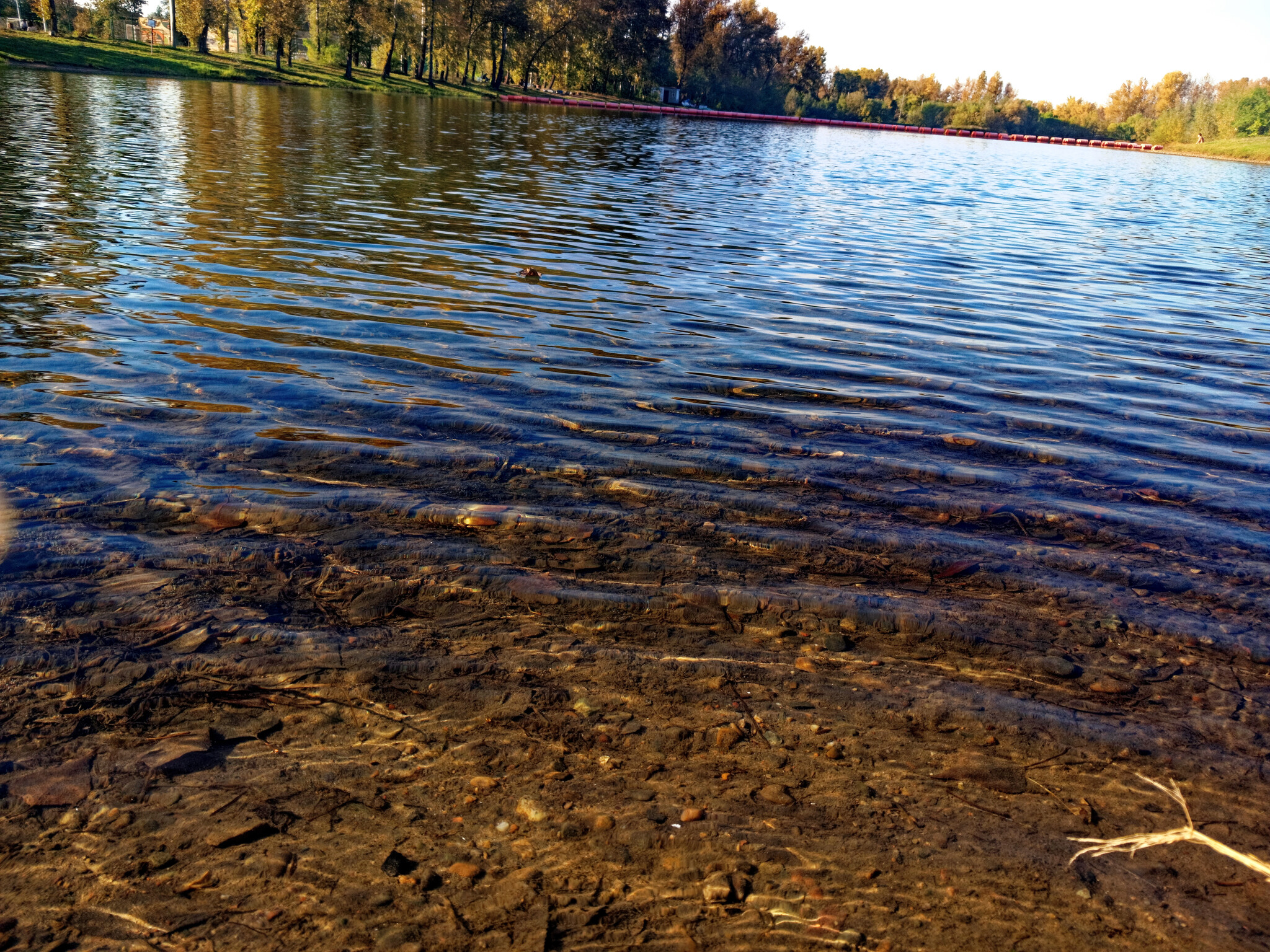 Рябь на прозрачной и цветной воде. Осень в сибири 2023 | Пикабу