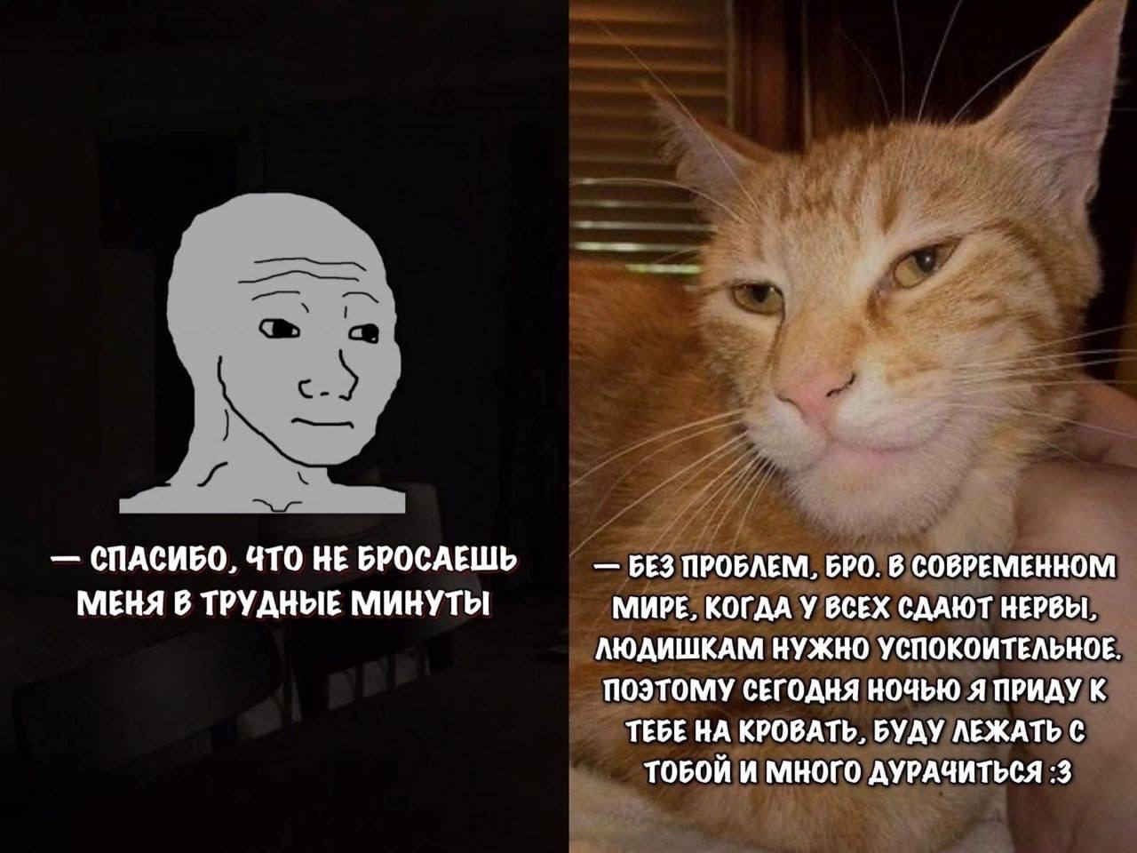 Лучший друг | Пикабу