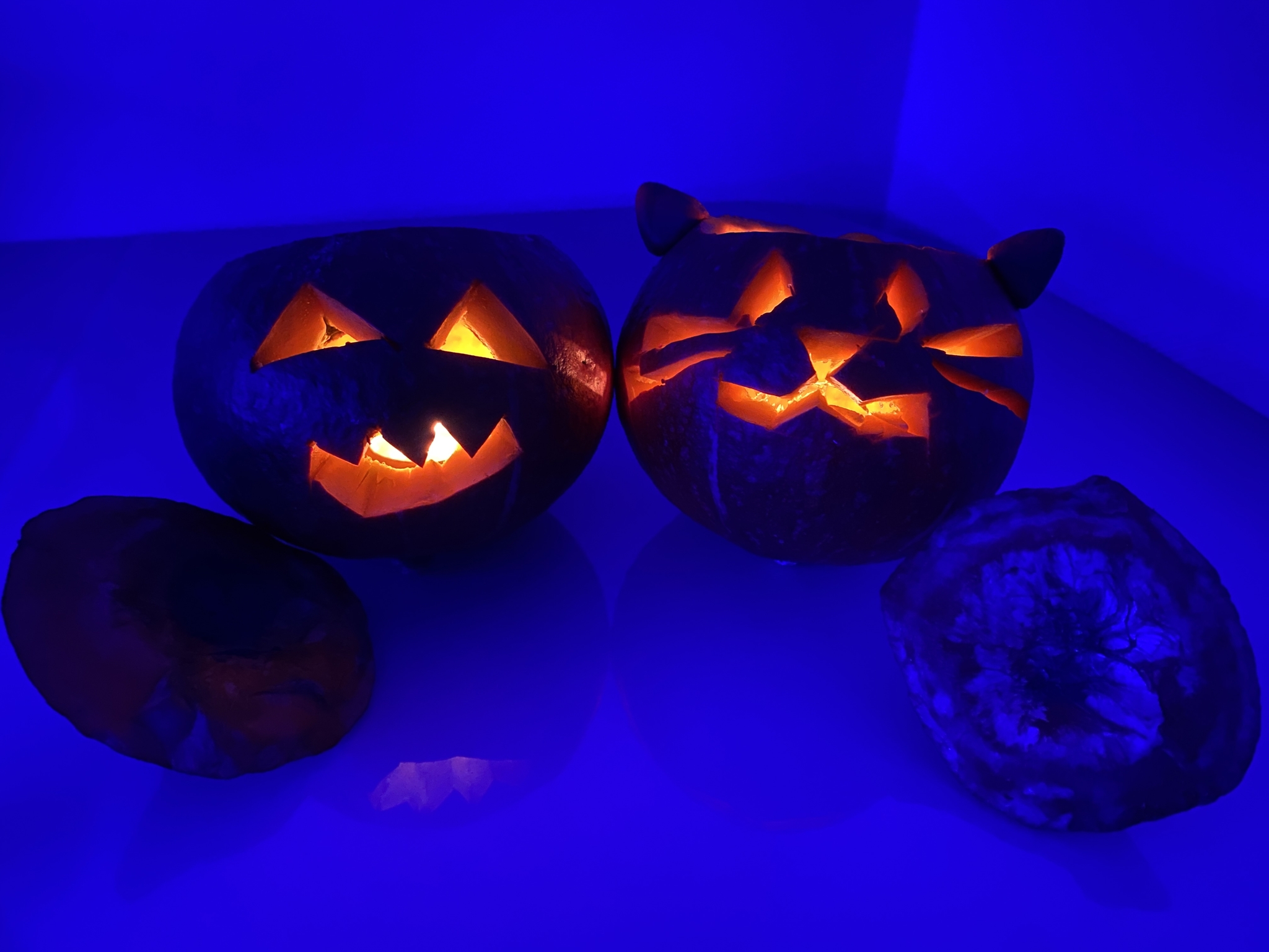 Halloween: истории из жизни, советы, новости, юмор и картинки — Все посты,  страница 9 | Пикабу