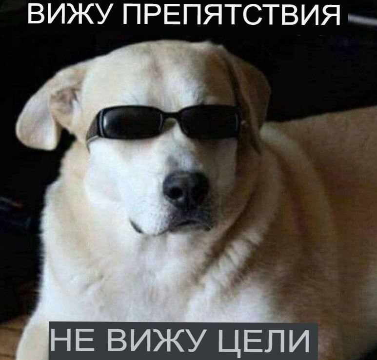 Мем | Пикабу